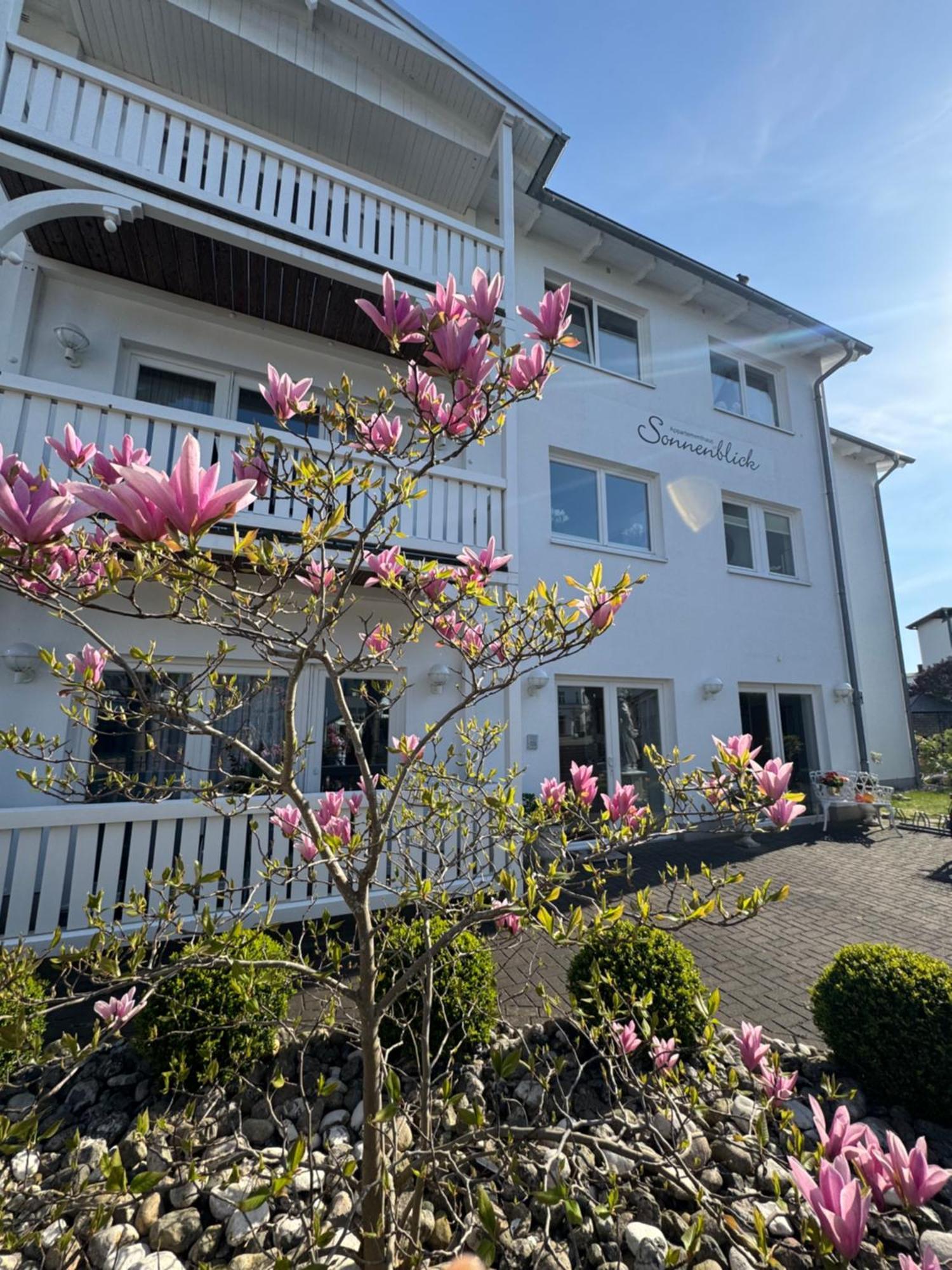 Apartmenthaus Sonnenblick Apartment
